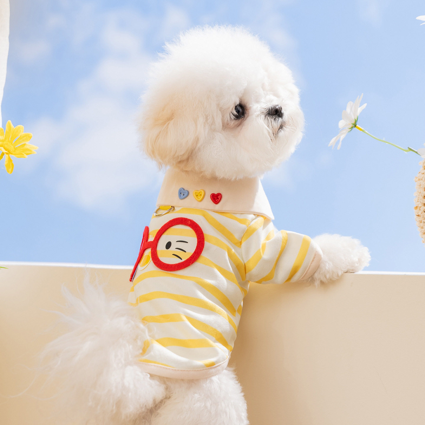 狗狗衣服春夏季薄款透气眼镜猫条纹打底衫泰迪比熊小型犬宠物衣服