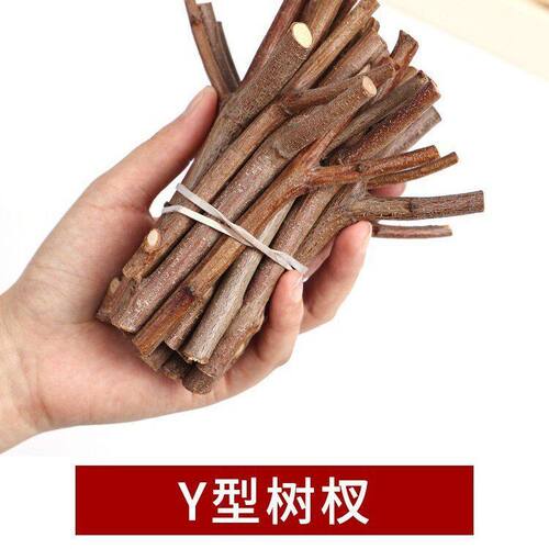 型树枝树杈幼儿园手工diy材料