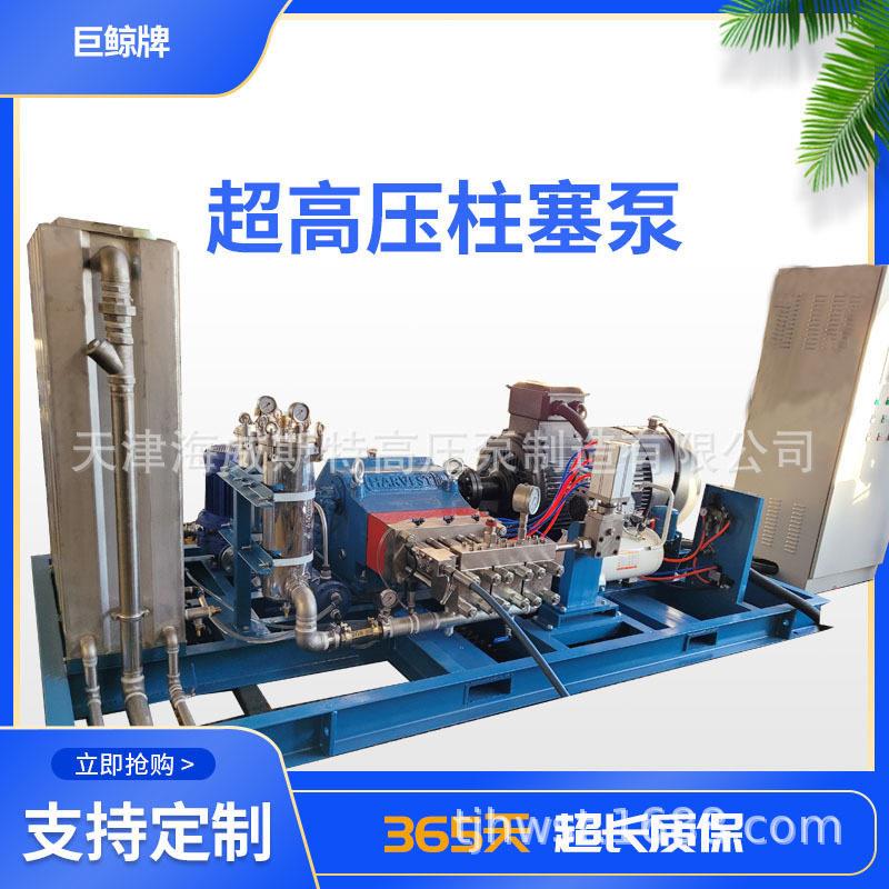 1500公斤化工厂锅炉清洗机压设备海维斯特泵往复式压泵自吸