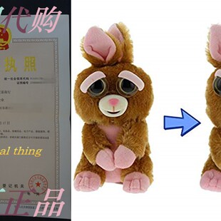 William Mark Feisty Bunny by Feisty Pets Expressions, Vicky