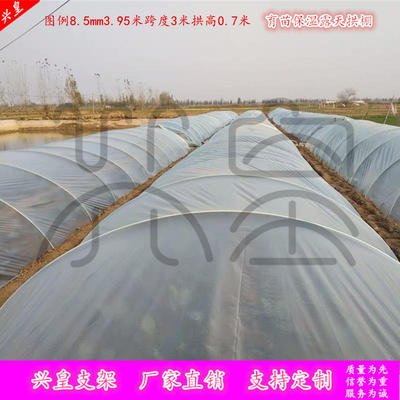 玻璃钢弹力棒菜棚塑料大棚拱棚支架保温花棚拱顶插秧育苗小竿地杆