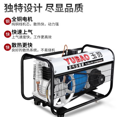 。有油空压机皮带式压缩机家装小型家用充气泵高压木工220V喷漆打