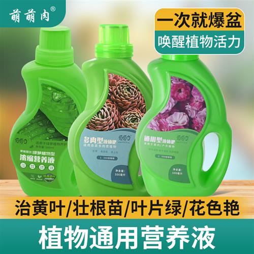 营养液植物通用型多肉发财树富贵竹绿萝水培盆栽家用花卉养花肥料