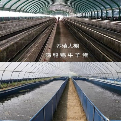 式全新料置地形鸭舍农业u蔬菜s羊圈创业温室大棚钢管骨架拱