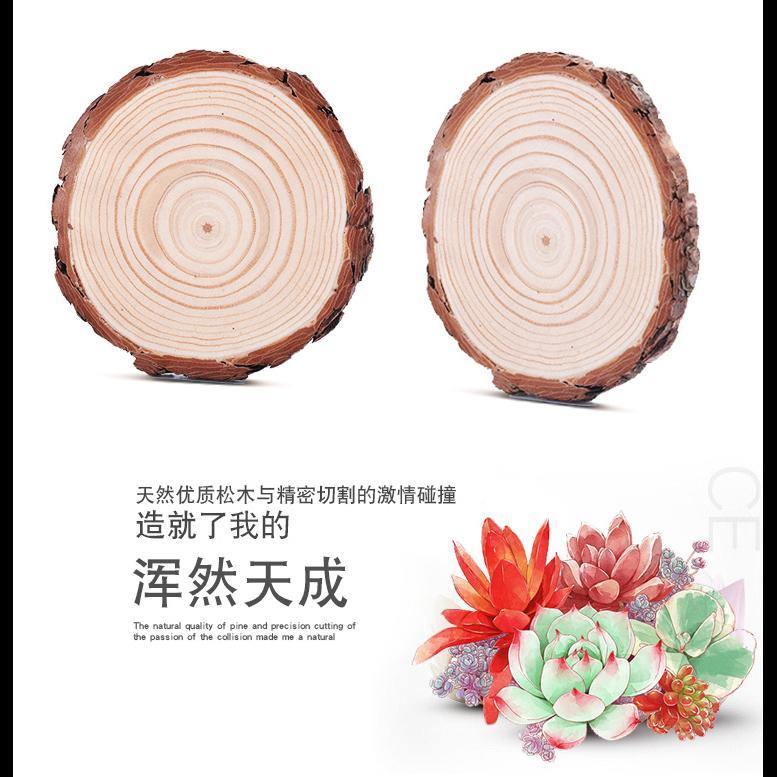 圆木片年轮diy木头 原木片装饰背景墙小圆实木片材料手工绘画套装