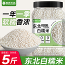 东北白糯米24年农家自产新米圆粒江米包粽子汤圆酿酒专用粘黏大米