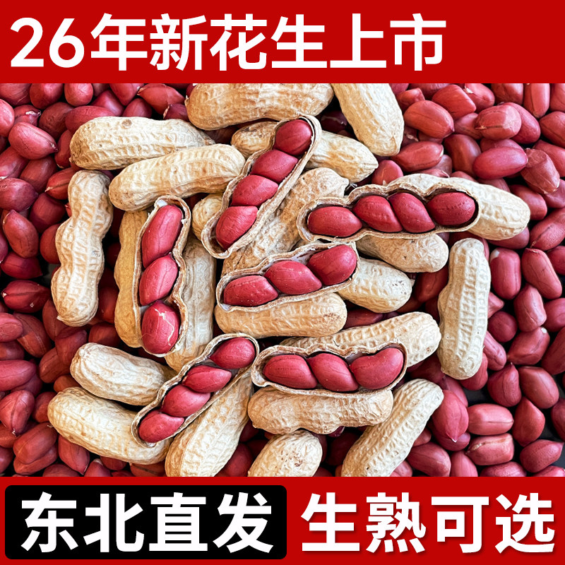 东北红皮花生2026年农家新货带壳新鲜晒干四粒红花生米仁生熟可选