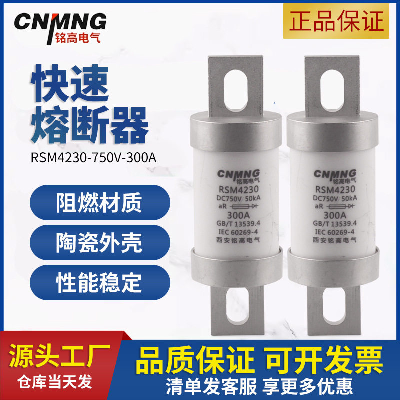 DC1000V直流熔断器RS309充电桩新能源电动汽车熔断器铭高RSM4230