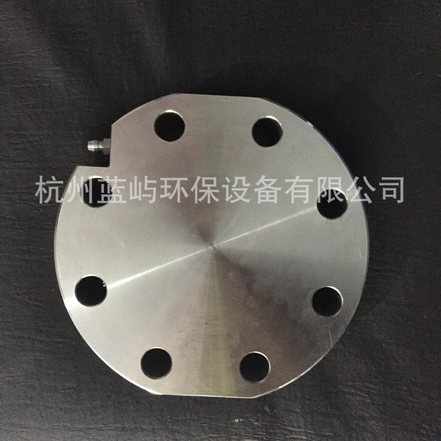 米顿罗RW计量泵不锈钢泵头