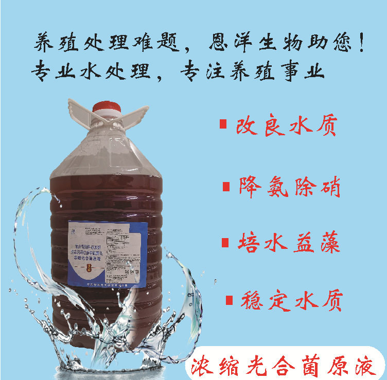 光合菌菌种调水质ph值氨氮稳定水色光合菌培养基母液水产养殖