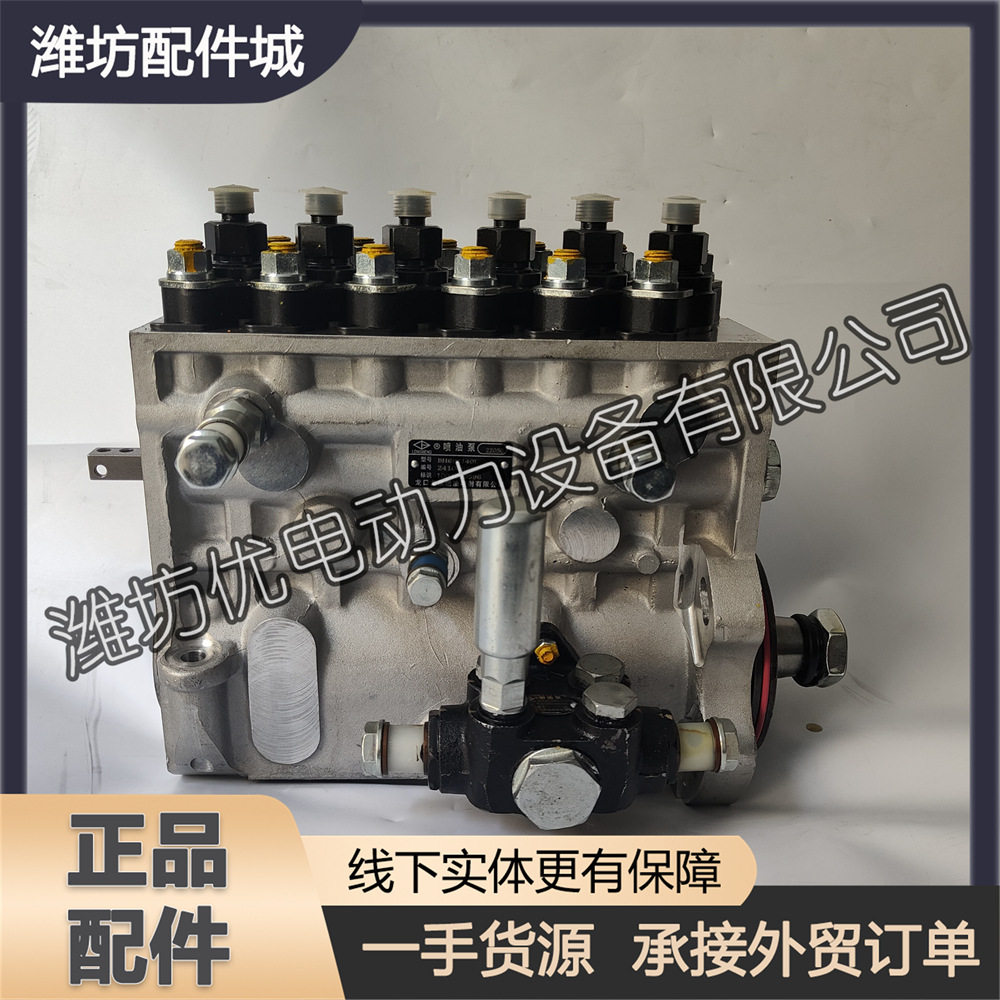 潍柴WP13发动机博杜安6M21柴油机1004090596喷油泵总成高压油泵