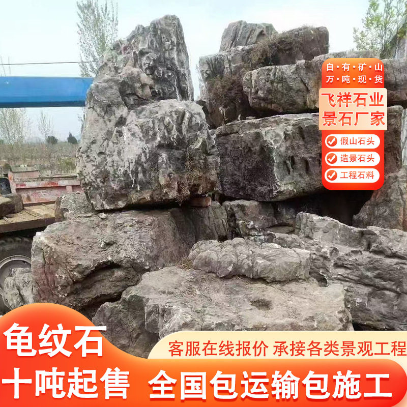 大型园林造景龟纹石景观石