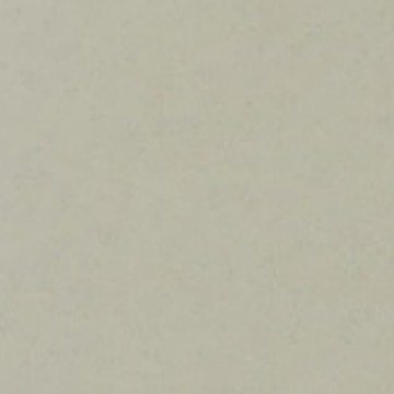 威盛亚HPL木纹防火板D30-60