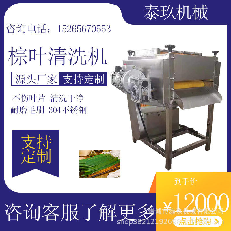 箬竹叶清洗机薄荷叶清洗设备粽叶毛刷自动洗叶机粽子叶清洗机器