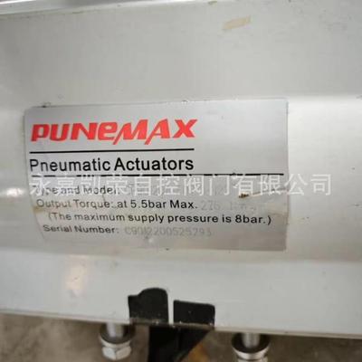 PUNEMAX气动阀门限位开关CPF220H气动执行器CP9012DA-F0710-N22