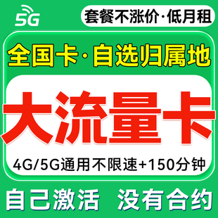 流量卡纯流量上网卡5g无线限不限量全国通用大流量手机卡电话卡