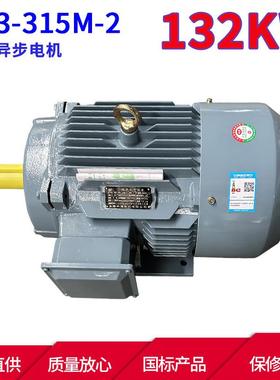 YE3系列马达三相异步电动机YE3-315M-2132W2极三相异步电机