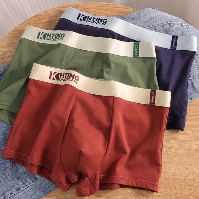男士纯棉内裤男生四角裤衩2025新款舒适透气青年底裤男平角短裤头