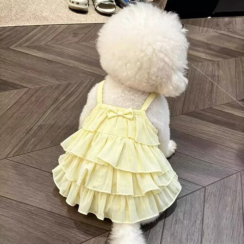 猫咪夏天衣服薄款透气公
