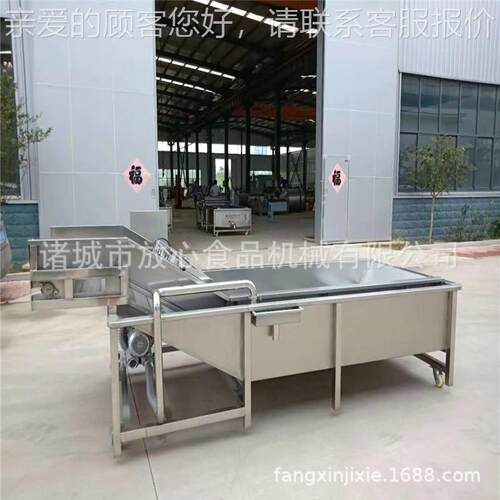 清全机FX-600自动蔬菜清洗机 气泡洗生产厂家 果蔬清洗机价格定
