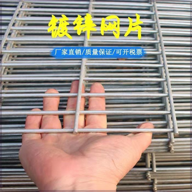 热销铁丝网围栏热镀锌电焊铁丝网格网长方形加粗建筑网片鸽舍狗笼