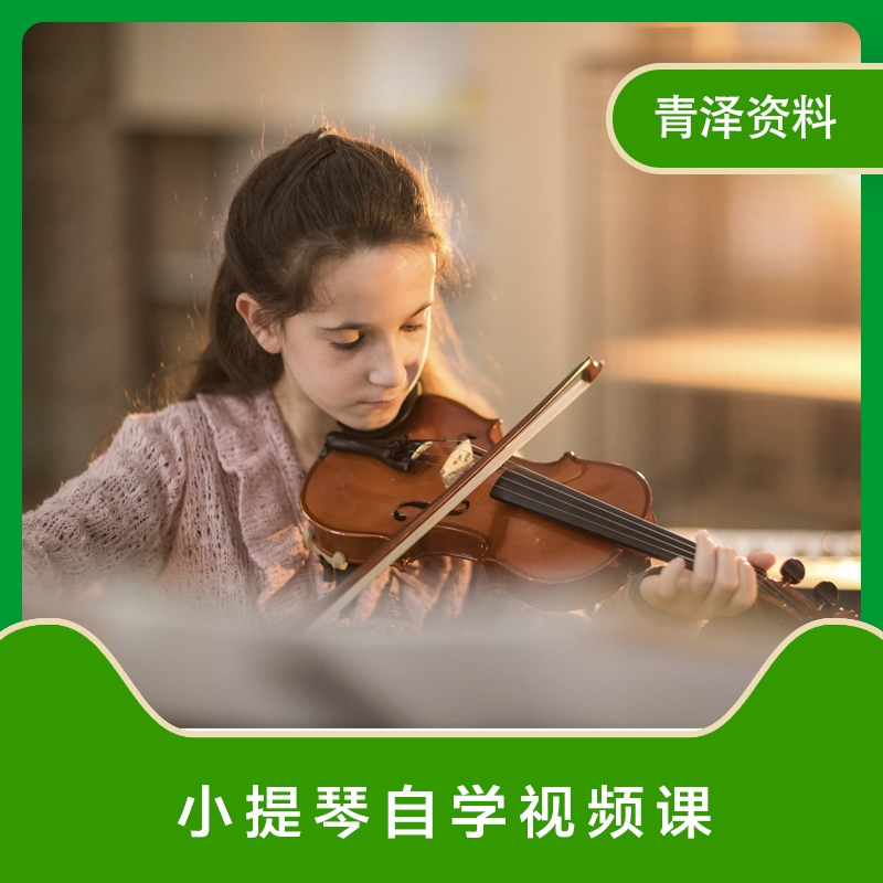 小提琴视频教程零基础自学入门到精通成人少儿童学小提琴精讲课程