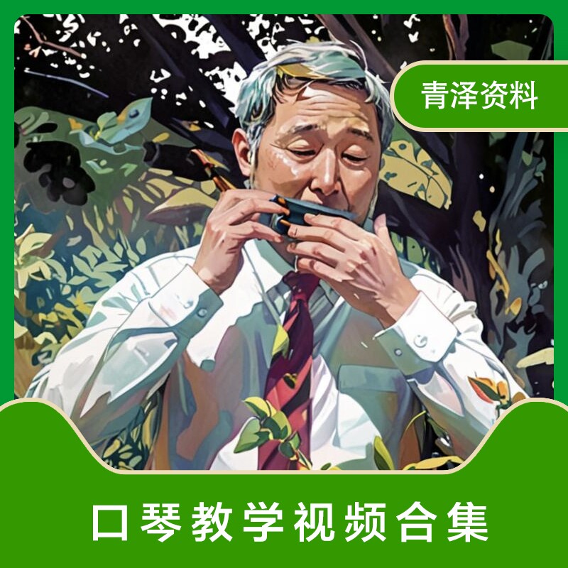 口琴视频教程新手自学零基础入门精通教学课程全集视频素材合集