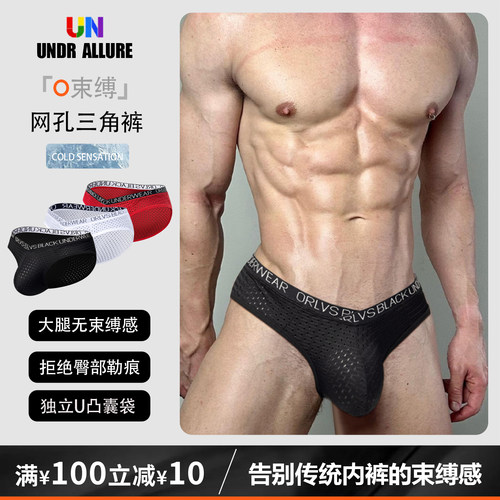 2条装网孔三角内裤性感轻薄透气