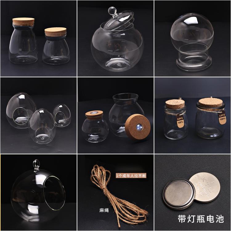 菁娇 苔藓微景观玻璃瓶罩 大号带盖缸木塞瓶架子花瓶容器