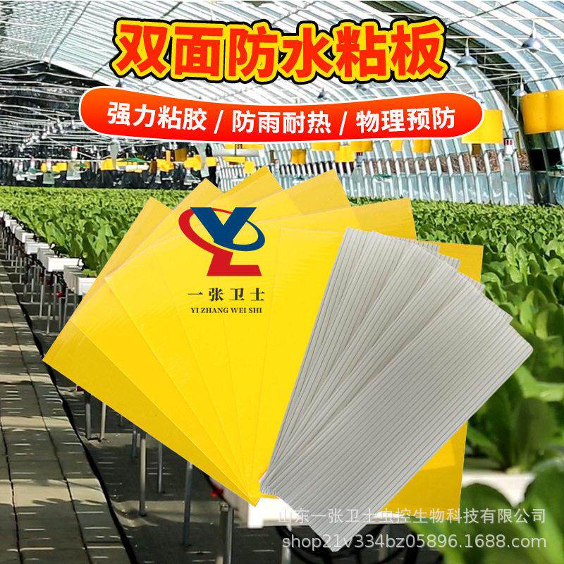 粘虫板灭果蝇板双面黄蓝板厂家直销诱虫板农业园林大棚强力捕虫贴