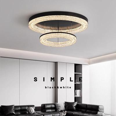 新款意式客厅吸顶灯现代简约高端设计师轻奢家用主卧室房间吸顶灯