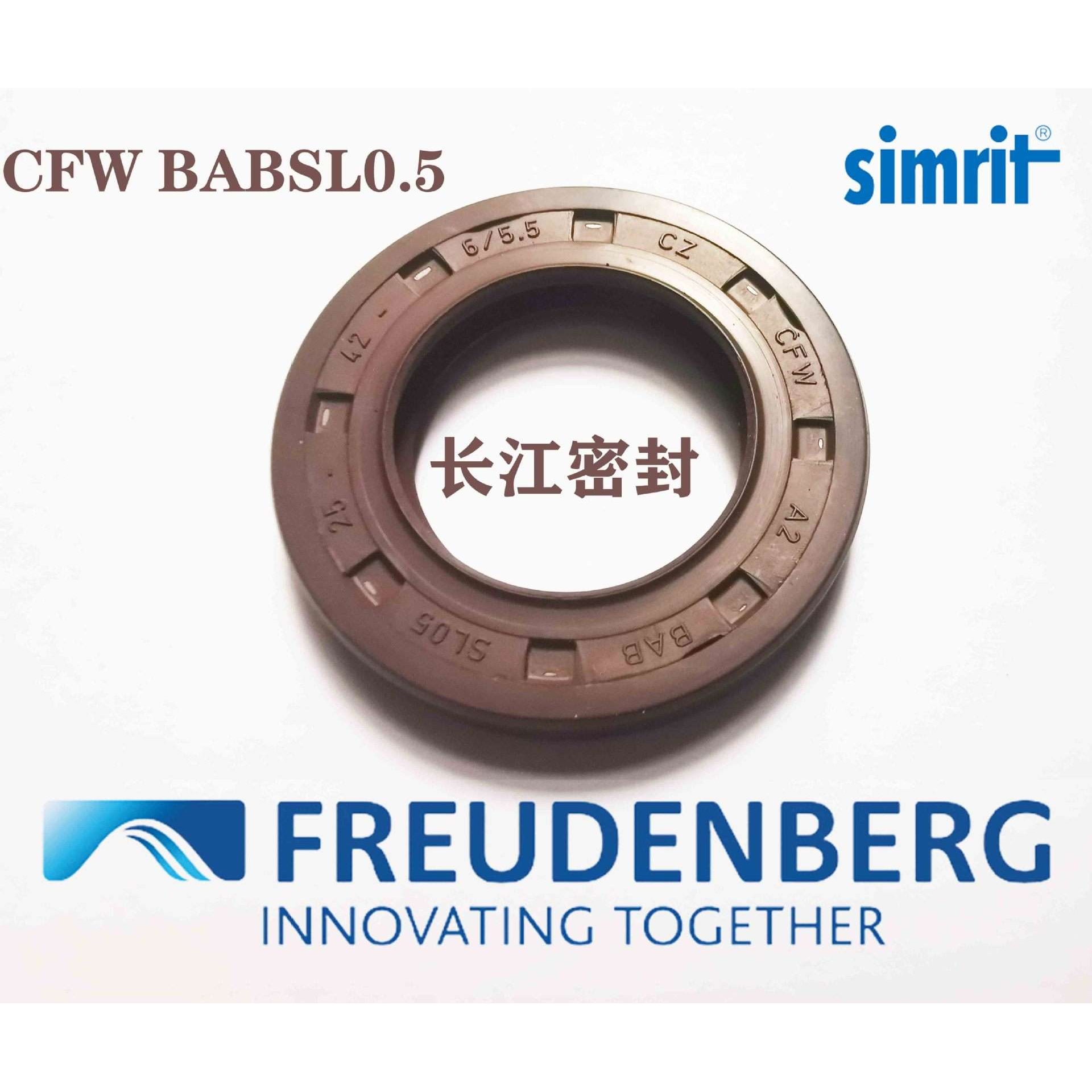 德国CFW 氟胶骨架油封15-35-6 BABSL 耐压型