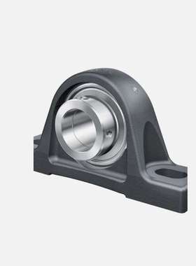 INA轴承 RASEY12-XL RASEY15-XL RASEY16-XL