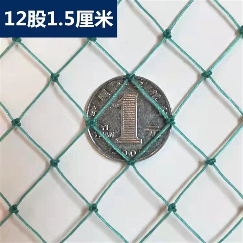 热销小孔加粗拦网养鸡网围栏绿网乒乓球渔网尼龙网护栏网养殖网防