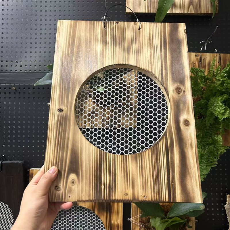 热销鹿角蕨种植板实木整板碳化加厚板石斛兰花绿植挂板网红植物定