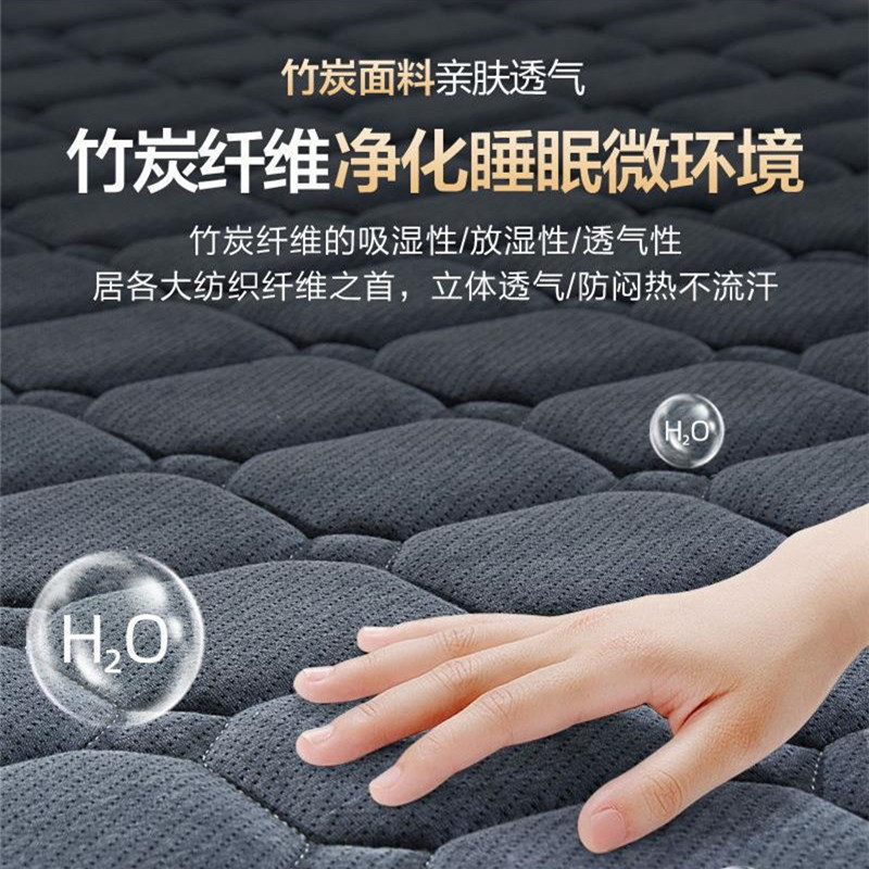 热销3E天然椰棕床垫家用两用软硬垫薄款儿童榻榻米粽V垫全拆洗可