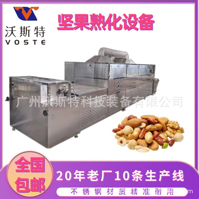沃斯特坚果微波熟化设备 干果微波烘干机 多种型号
