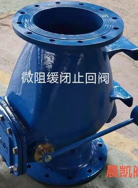 上海阀门 污水微阻缓闭止回阀HH44X 铸铁大口径旋启橡胶板止回阀