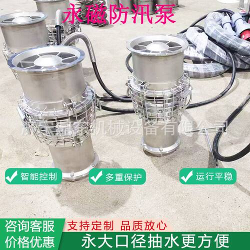 永磁防汛泵 应急救援防汛排水排涝变频防洪泵 大流量防洪排涝泵