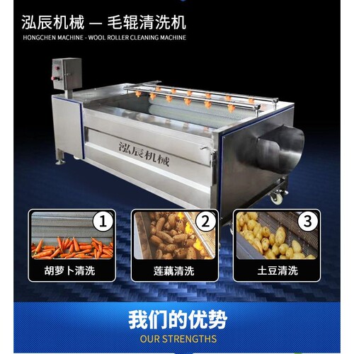 厂家供应核桃仁去皮清洗机 生姜毛辊清洗机 马蹄清洗去皮机