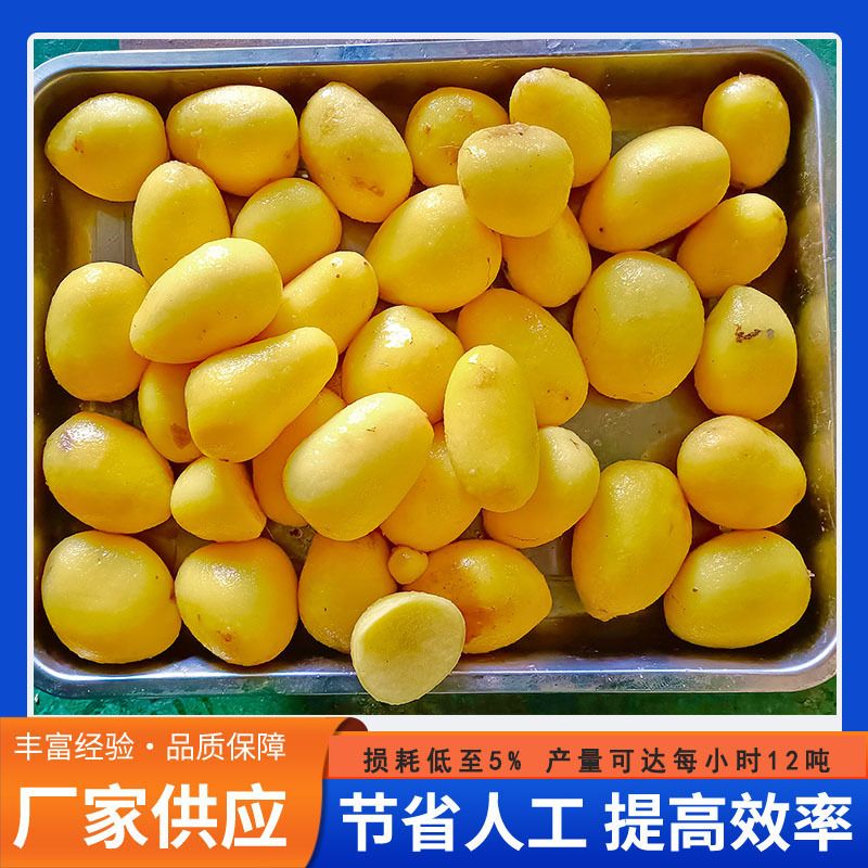 土豆马铃薯洋芋蒸汽去皮机珍珠小土豆薯条薯片薯泥薯球加工设备