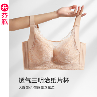 芬腾女士内衣大胸显小全罩杯蕾丝文胸舒适上托夏季 收副乳胸罩 薄款