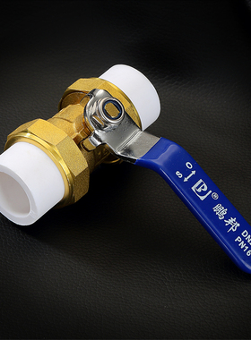 热销4分20 6分25PPR水管管件配件管材家用自来水热熔暖气热水器活