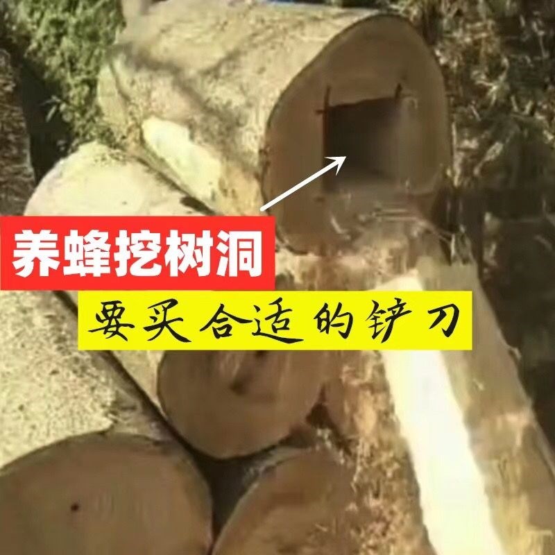 热销蜂具人气宝贝挖树洞铲刀刮刀圆桶养蜂三峡桶手工锻打挖空工具
