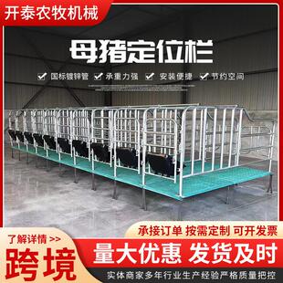 供应母猪定位栏限位栏猪圈栏位猪用复合漏粪板母猪产床保育限位栏