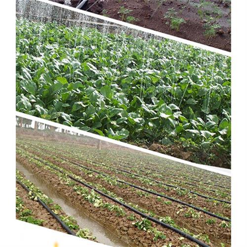 2寸3寸农用滴灌带o微喷带寸喷灌滴管带塑料软管水带微喷水管