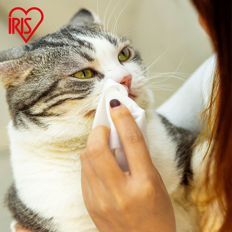 IRIS宠物湿巾猫咪狗狗专用可携式去眼部泪痕免洗清洁纸巾除臭擦脚