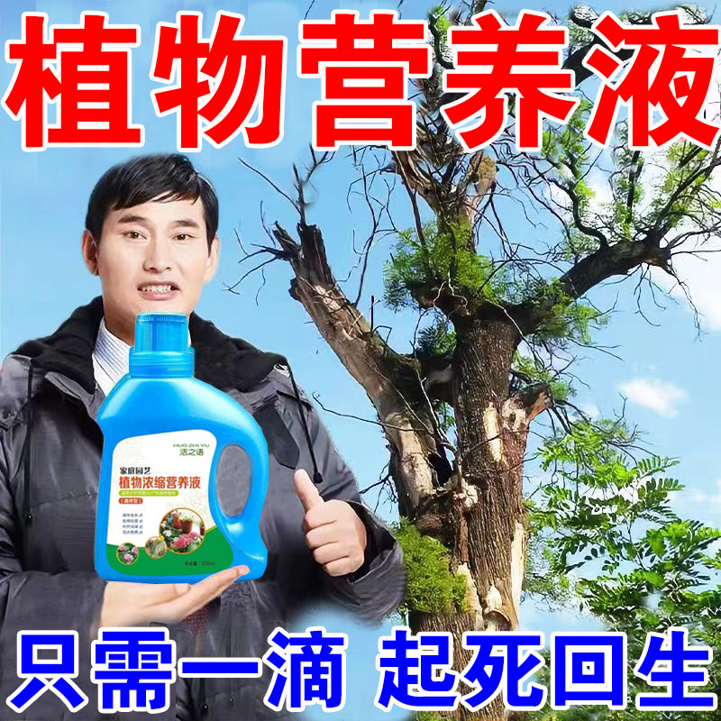 植物养花通用生长活力素发财树蝴蝶兰活力素救花神器植物活力素