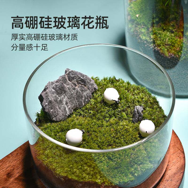 透明微景观玻璃花瓶摆件水培生态瓶diy苔藓缸多肉花盆玻璃罐