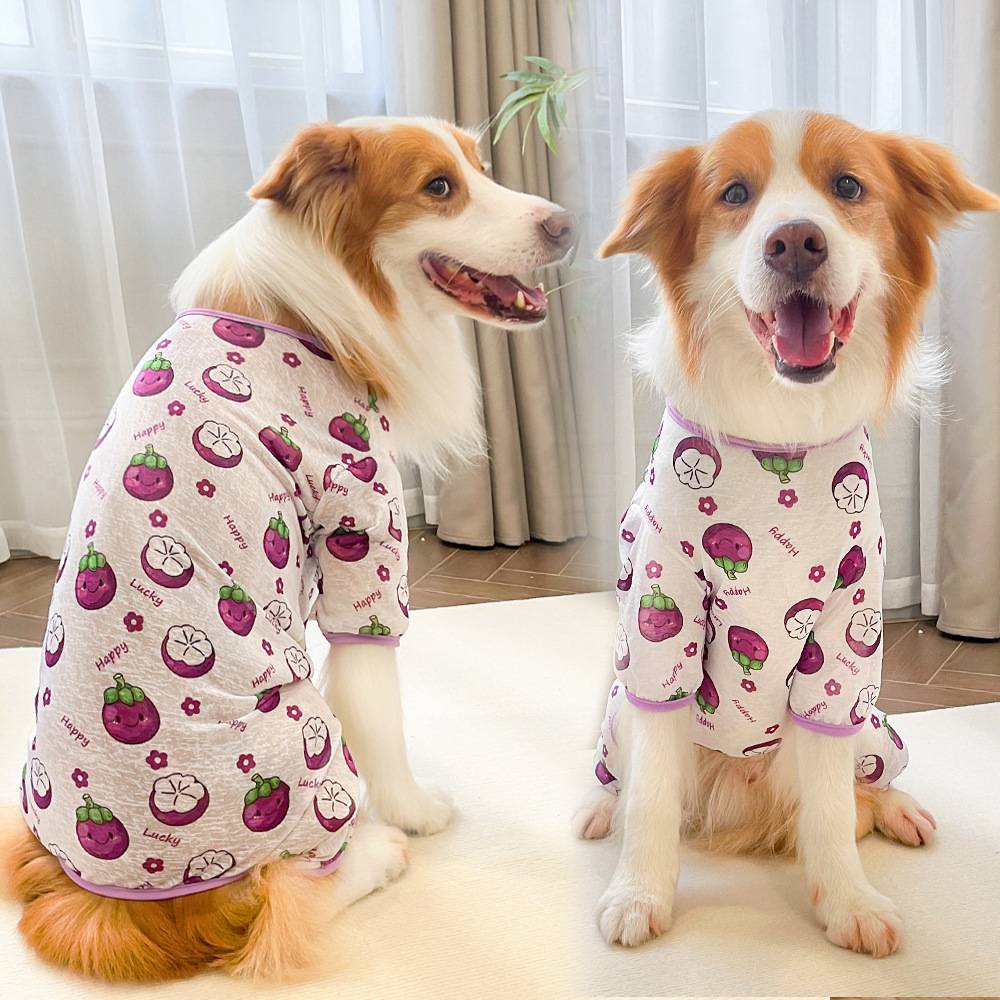 新款宠物春夏猫咪衣服狗狗四脚衣猫四腿裤子透气家居服用品